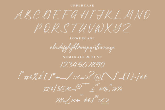 Reymonde Signature Font Poster 13