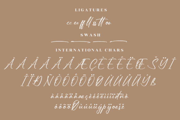 Reymonde Signature Font Poster 14