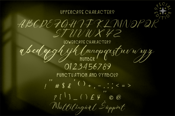 Robinson Yilow Font Poster 6