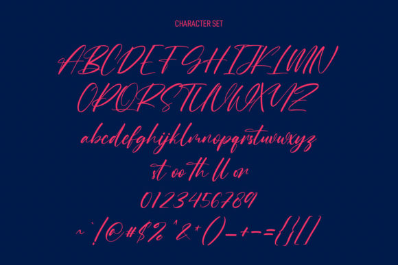 Roche Shirt Script Font Poster 8