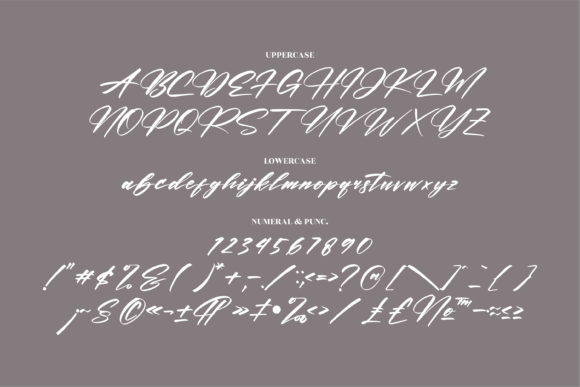 Rockesta Brush Font Poster 13