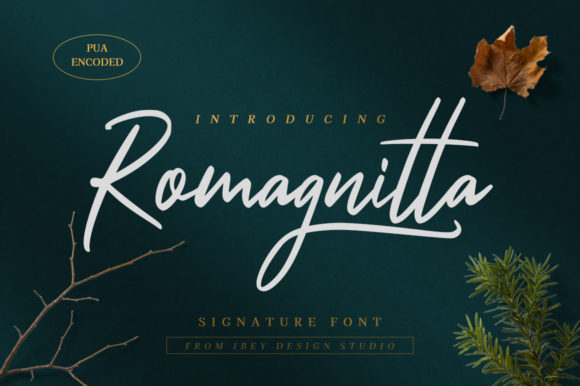 Romagnitta Font Poster 1