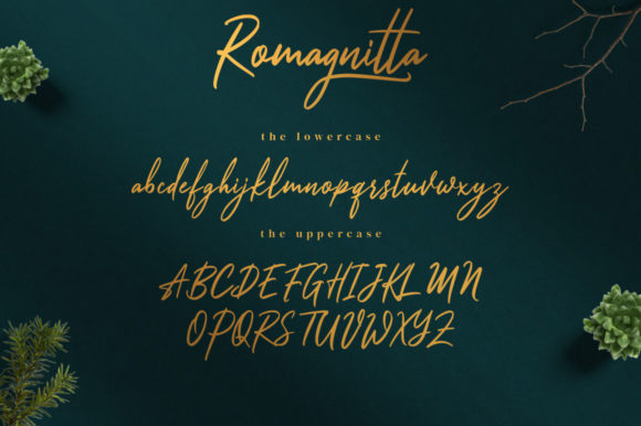 Romagnitta Font Poster 12