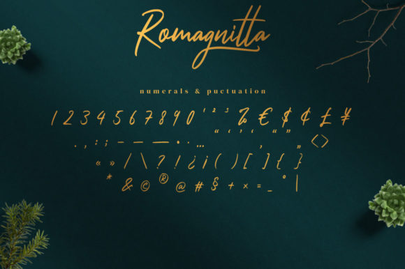 Romagnitta Font Poster 13