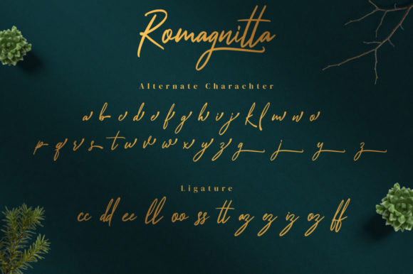 Romagnitta Font Poster 15