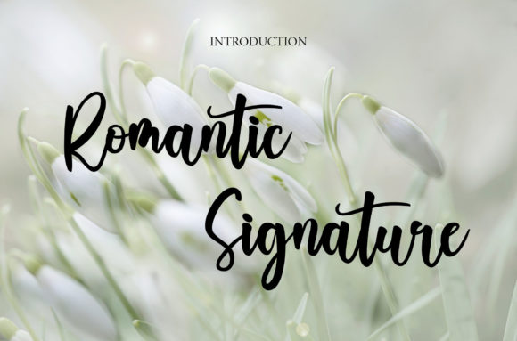 Romantic Signature Font Poster 1