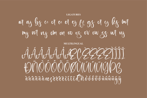 Ronatesla Sintera Font Poster 14