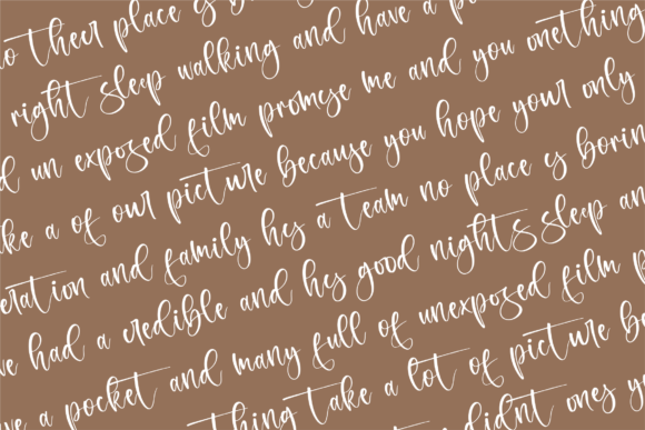 Ronatesla Sintera Font Poster 8