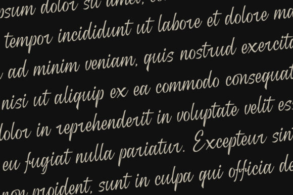 Roney Font Poster 7