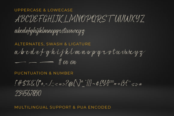 Roney Font Poster 9