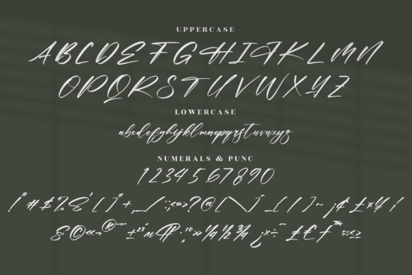 Rontale Font Poster 13