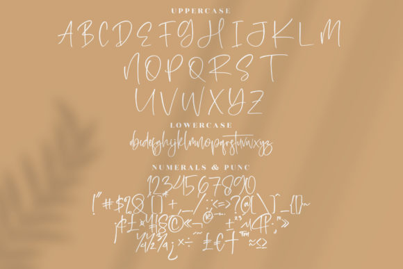 Rosalinta Font Poster 13