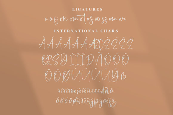 Rosalinta Font Poster 14