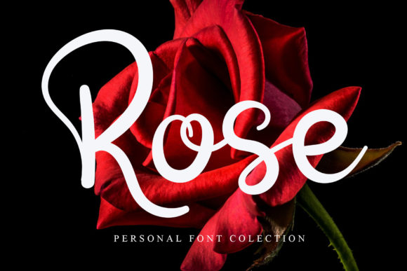 Rose Font Poster 1