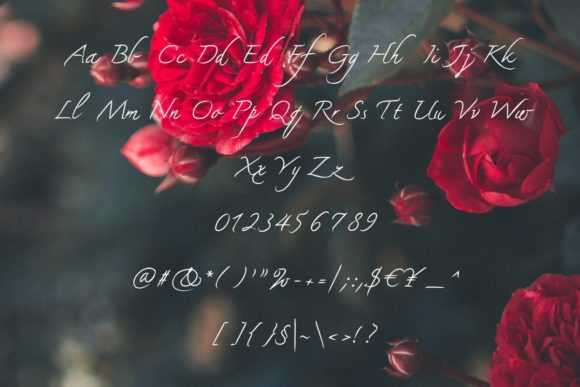 Rose & Katie Font Poster 5