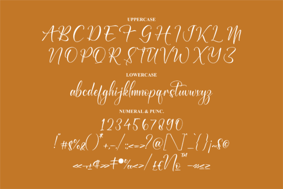 Rosemitta Font Poster 13
