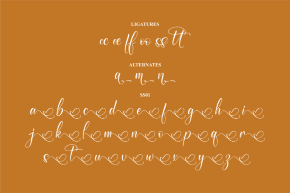 Rosemitta Font Poster 14