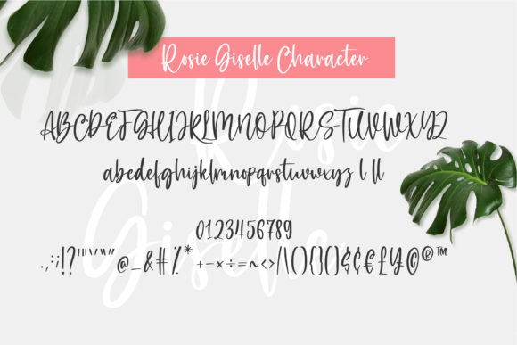Rosie Giselle Font Poster 3