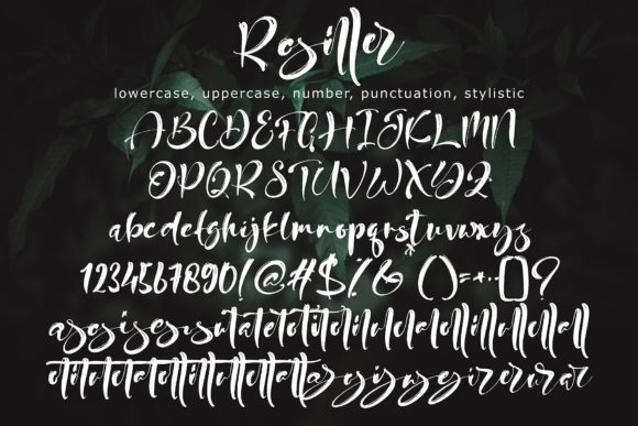 Rosiller Font Poster 10