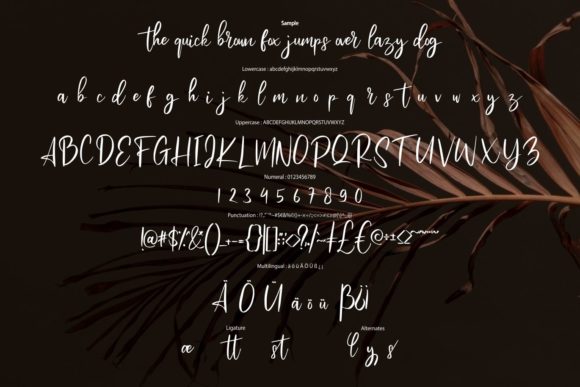 Rosterny Font Poster 6