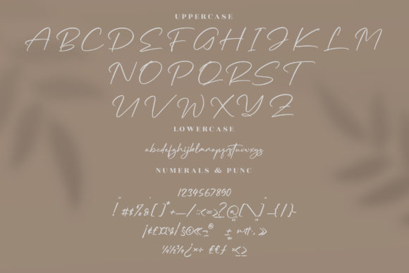 Rundreams Signature Font Poster 13
