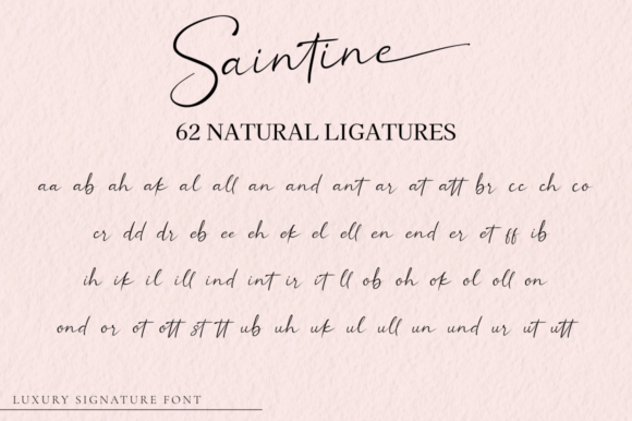 Saintine Font Poster 11