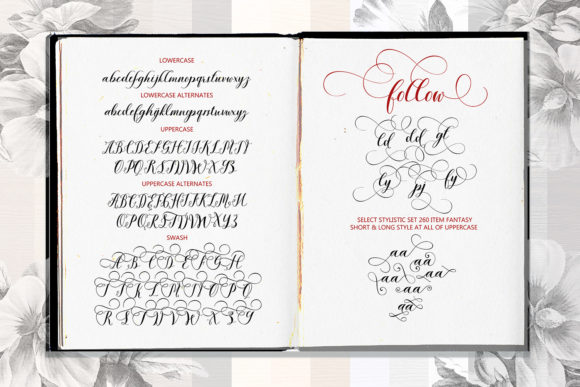 Salamanta Script Font Poster 7