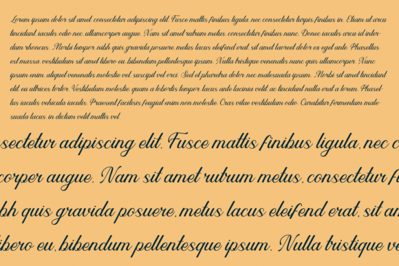 Salazar Font Poster 8