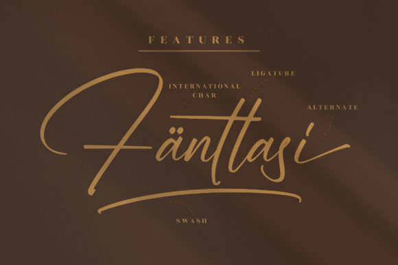 Sallinas Franklyn Font Poster 12