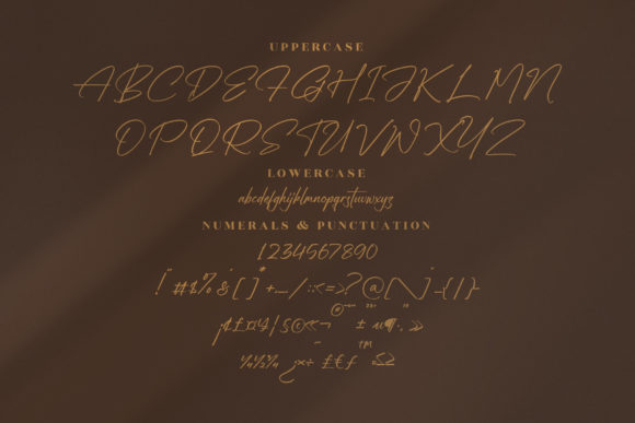 Sallinas Franklyn Font Poster 13