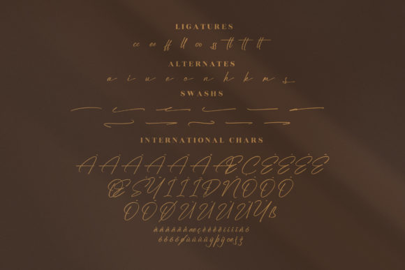 Sallinas Franklyn Font Poster 14