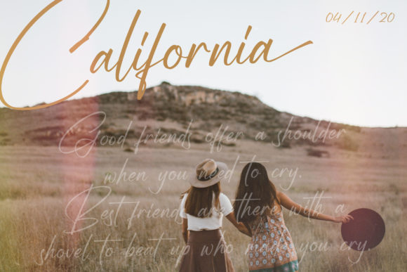 Sallinas Franklyn Font Poster 4