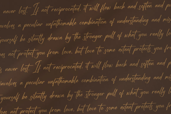 Sallinas Franklyn Font Poster 10