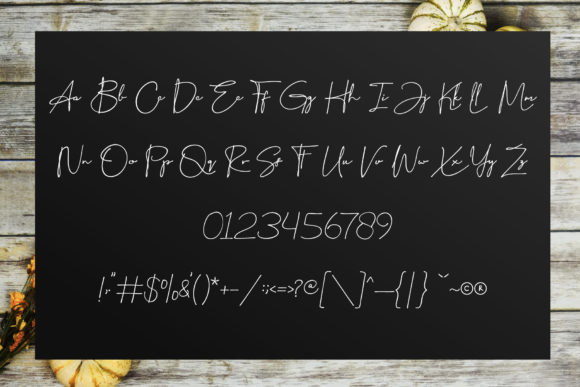 Sallistyline Font Poster 7
