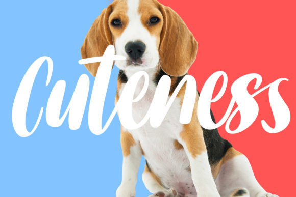 Sallowness Font Poster 9