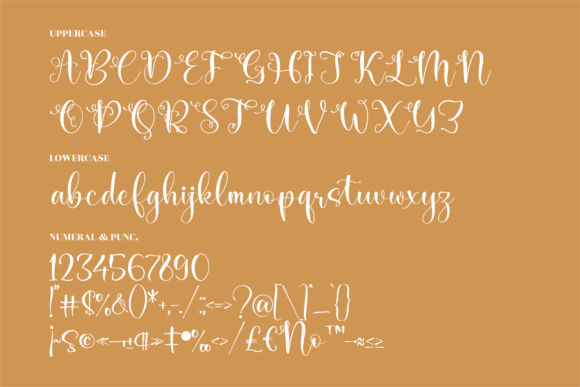 Salmah Font Poster 13