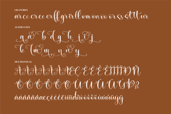 Salmah Font Poster 14