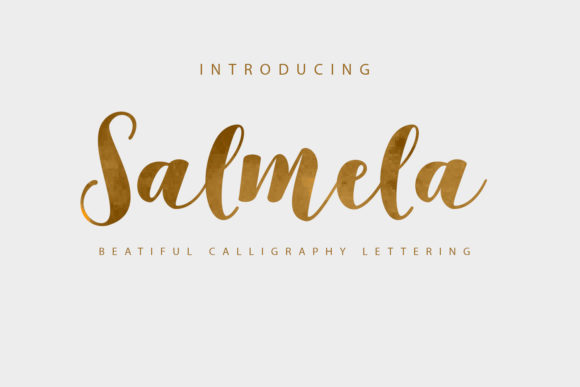 Salmela Font Poster 1