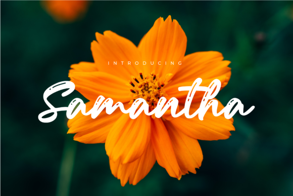 Samantha Font Poster 1