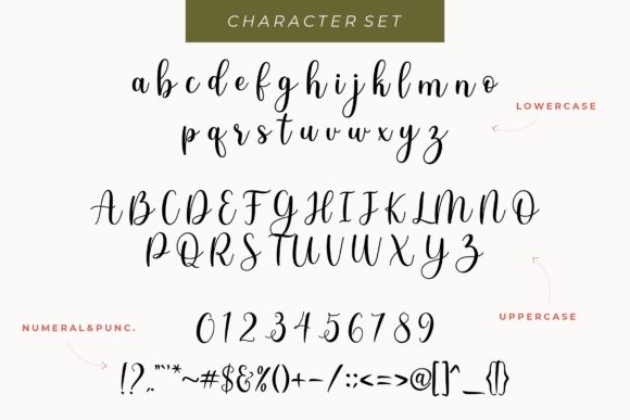Samantha Calligraphy Font Poster 6