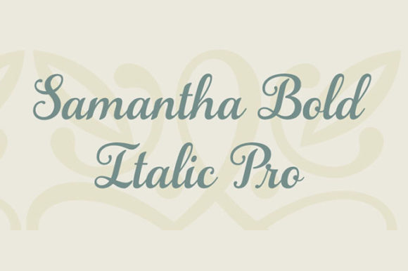 Samantha Family Font Poster 10