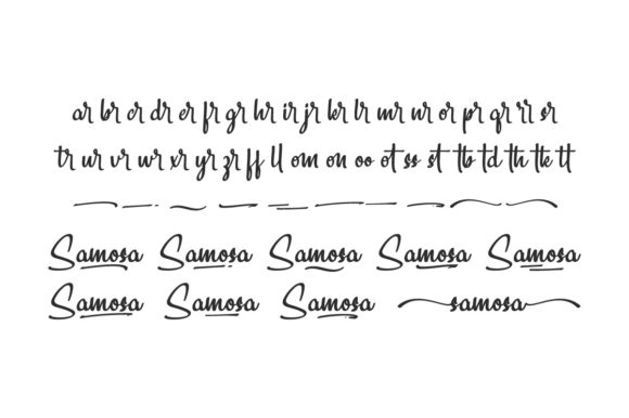 Samosa Font Poster 6