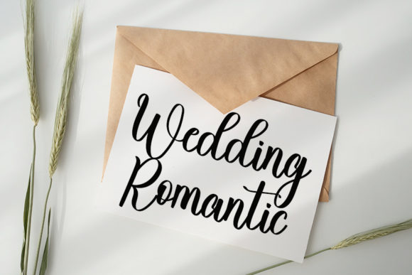Santina Font Poster 2