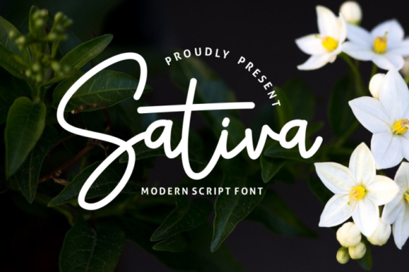 Sativa Font Sativa Font Poster 1