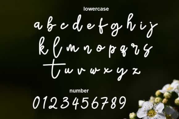 Sativa Font Poster 8