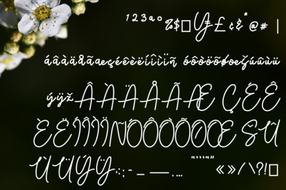 Sativa Font Poster 9