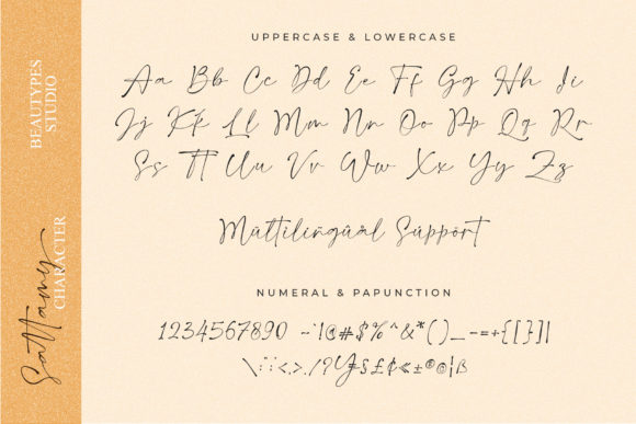 Sattamy Signature Font Poster 7