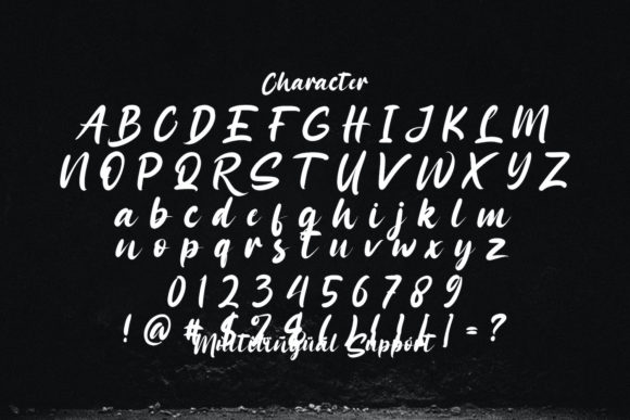 Sattomy Font Poster 14