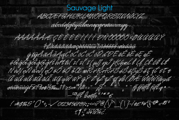 Sauvage Neon Script Font Poster 4