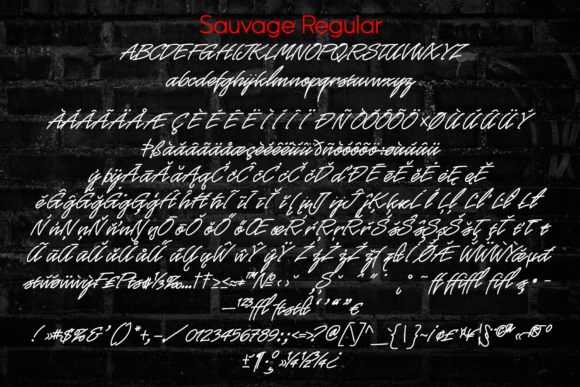 Sauvage Neon Script Font Poster 5